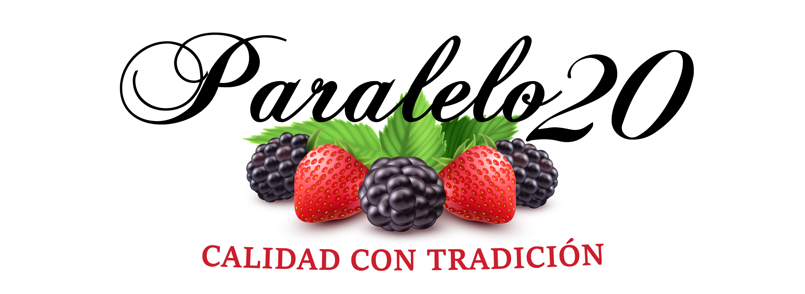 Paralelo 20